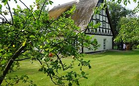 Haus Bela